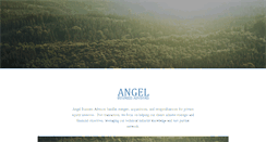 Desktop Screenshot of angelbusiness.com
